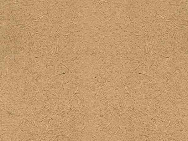 男女上床羞羞APP在线观看